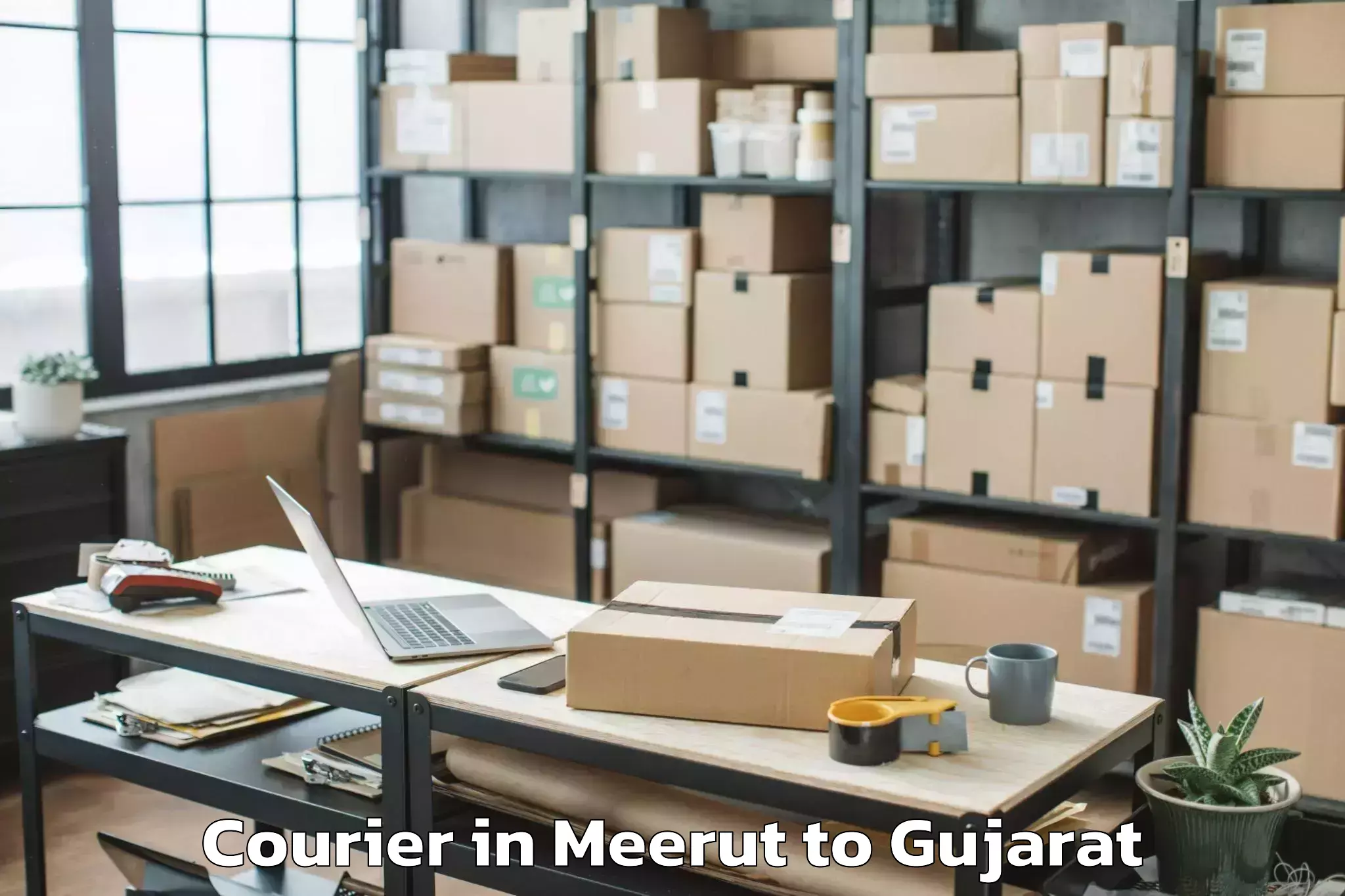 Leading Meerut to Damnagar Courier Provider